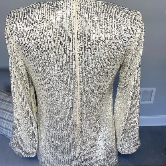 NWT Silver, and cream, Eliza J, double layered sequence dress - Picture 5 of 13